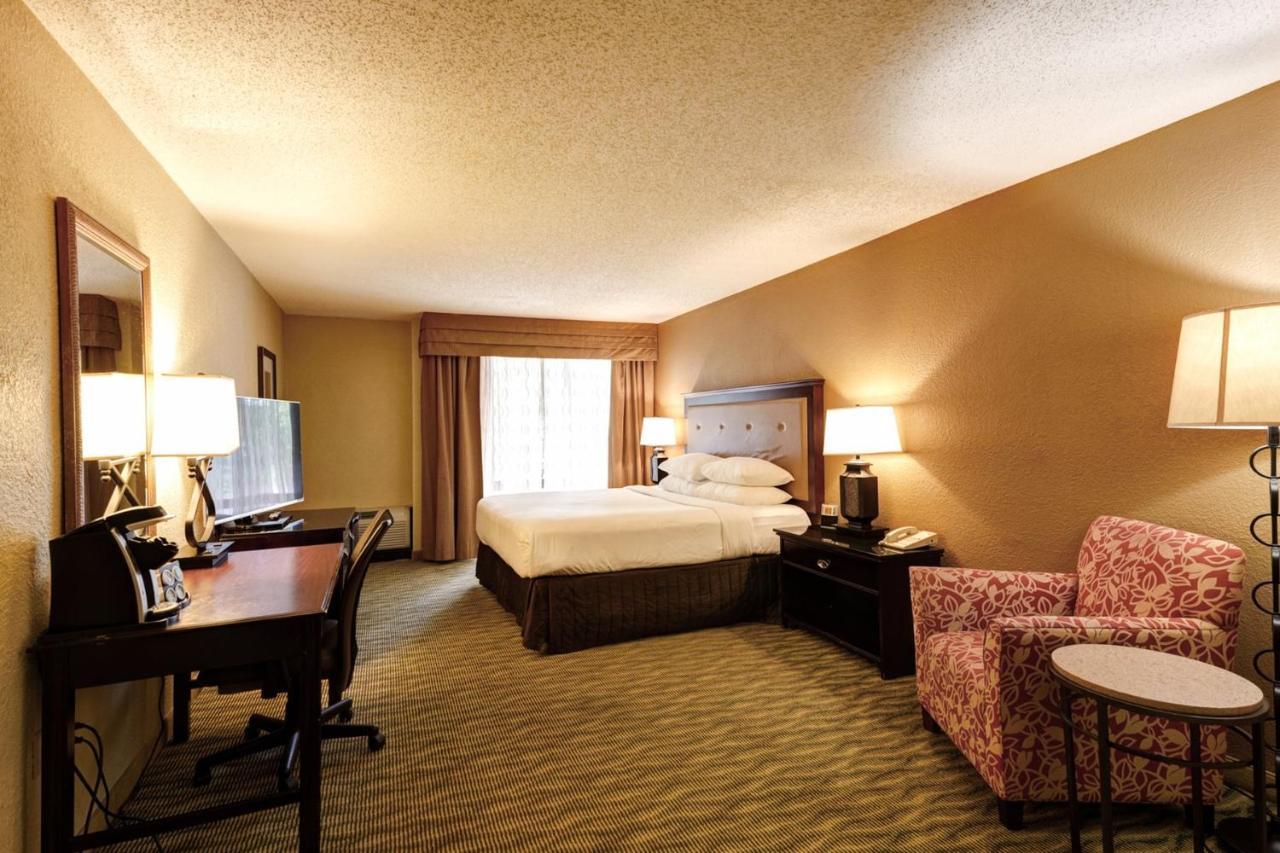 Premium King Room - High Floor,1637713999:JPEG